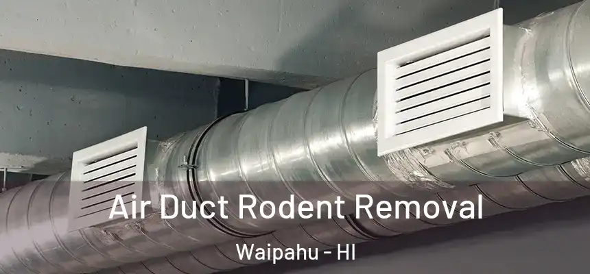  Air Duct Rodent Removal Waipahu - HI