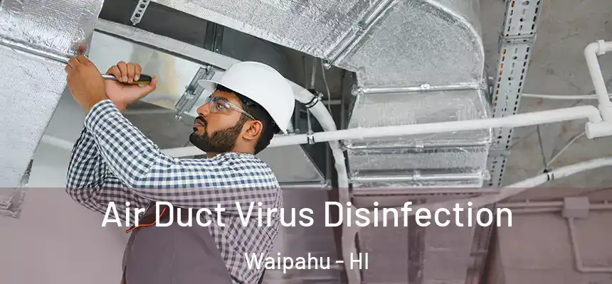  Air Duct Virus Disinfection Waipahu - HI