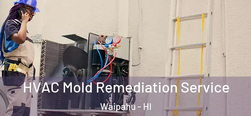  HVAC Mold Remediation Service Waipahu - HI