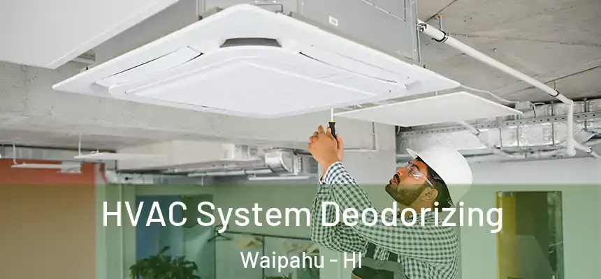 HVAC System Deodorizing Waipahu - HI