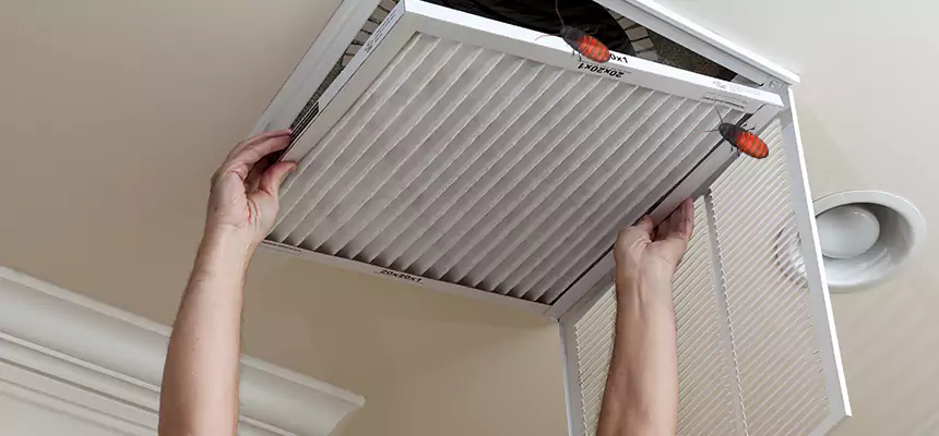 Preventive Cockroach-Proofing for Ducts in Waipahu