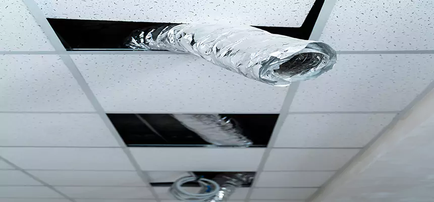 Our Air Duct Pet Hair Removal Services in Waipahu, HI