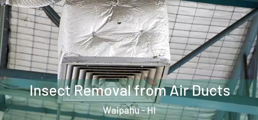  Insect Removal from Air Ducts Waipahu - HI
