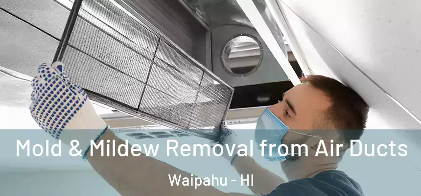  Mold & Mildew Removal from Air Ducts Waipahu - HI