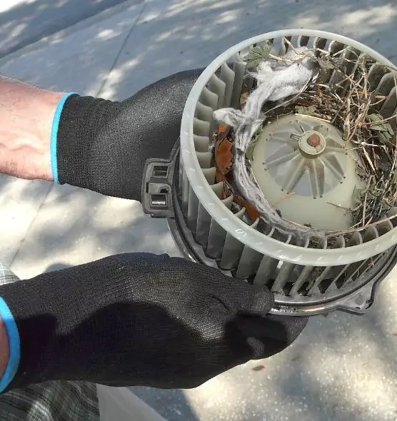 About Air Duct Mice Removal in Waipahu, HI