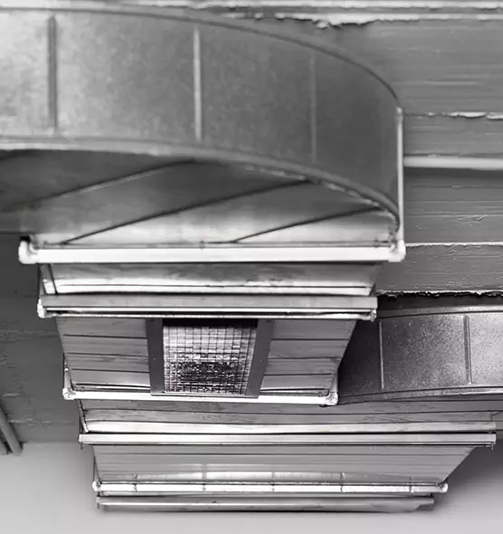 Professional Air Duct Pest Removal in Waipahu, HI