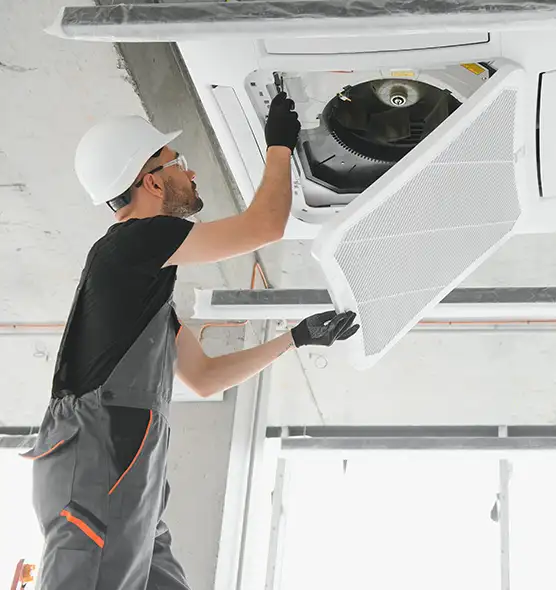 About Air Duct Rodent Removal in Waipahu, HI