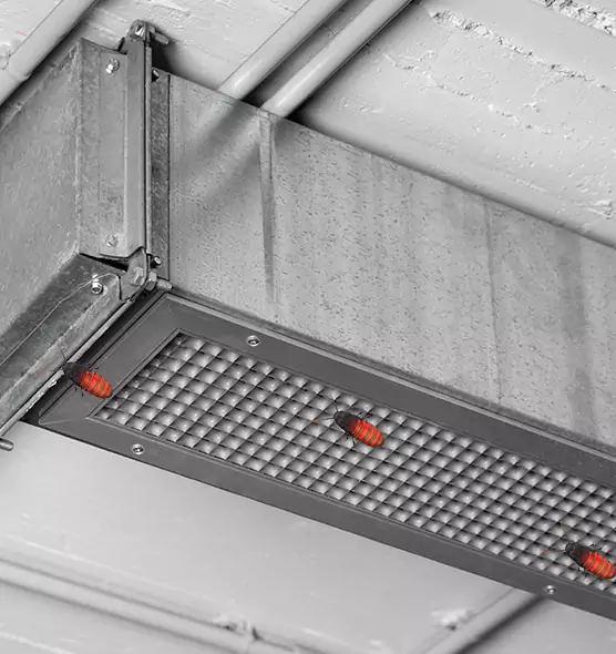 Affordable Insect Removal from Air Ducts in Waipahu, HI
