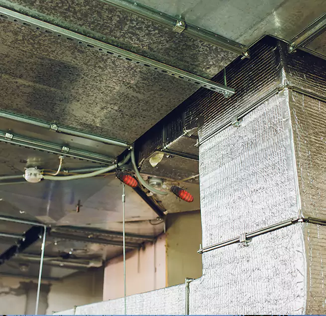 Why Homeowners & Businesses Trust Us in Waipahu, HI?