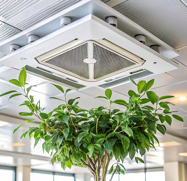 Why Homeowners & Businesses Trust Us in Waipahu, HI?