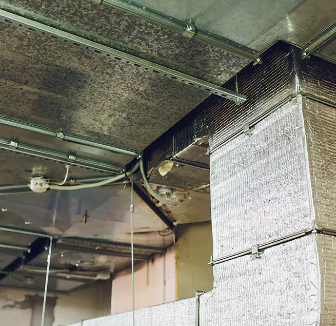 Why Homeowners & Businesses Trust Us in Waipahu, HI?