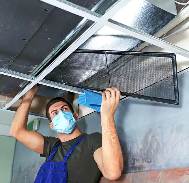 Why Homeowners Businesses Trust Us in Waipahu, HI