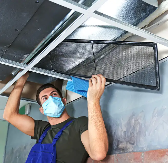 Why Homeowners & Businesses Trust Us in Waipahu, HI?