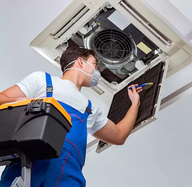 Why Homeowners & Businesses Trust Us in Waipahu, HI?